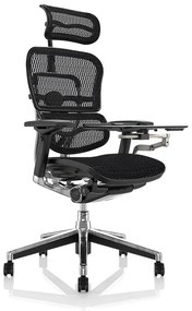 Scaun de birou - ERGOHUMAN2 PDH ULTRA BLACK FRAME W09-01+ALU BASE - precomanda 7-12 zile (Termen de livrare: 7 zile)