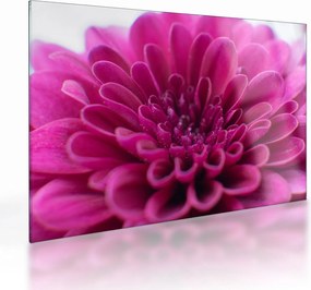 Tablou pe sticlă cu floare (70x50 cm)