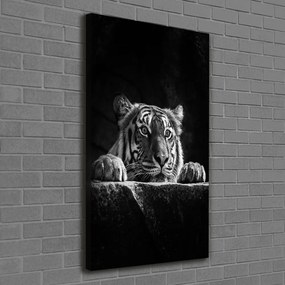 Tablou canvas Tigru
