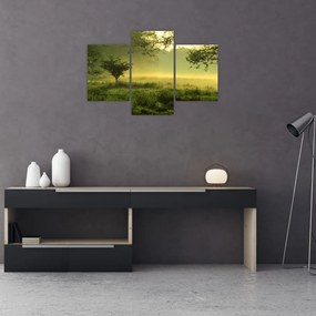 Tablou - Pădurea trezită (90x60 cm)