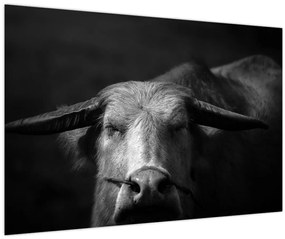 Tablou - Vacă (90x60 cm)