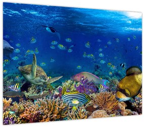 Tablou - Ocean (70x50 cm)