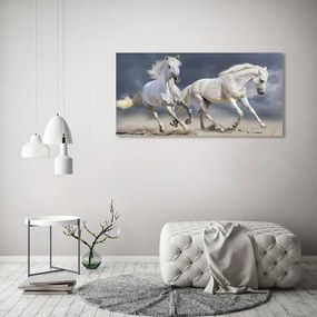 Tablou acrilic White beach horse