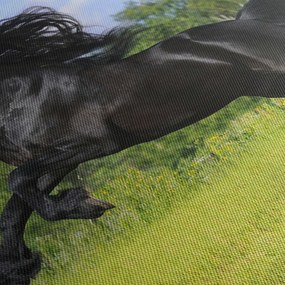 Tablou - Cal cu o coamă curgătoare (90x60 cm)