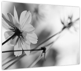 Tablou - Flori alb-negru (70x50 cm)