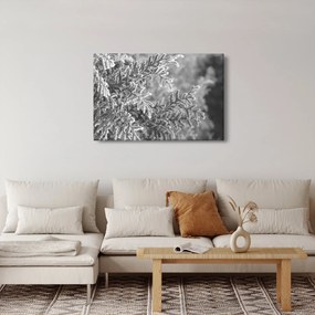 Tablou - Pădure de molid (90x60 cm)