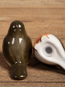 Set sare si piper, din ceramica, Robins