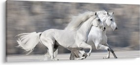 Tablou - Cai albi în timpul iernii (120x50 cm)