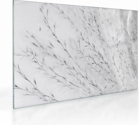 Tablou pe sticlă - Iarbă de pampas N⁰2 (70x50 cm)