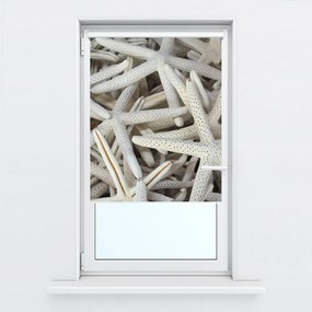 Fotojaluzele R014839R42150 (42x150 cm)