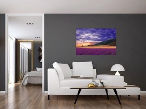 Tablou cu lunca cu lavandă (90x60 cm)