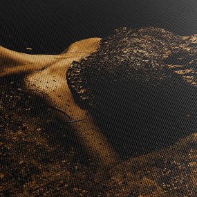 Tablou - Femeia din aur (150x105 cm)