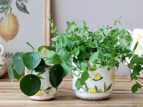 Ghiveci din ceramică, pictat manual, crem, H13.5/D13 cm, Limone