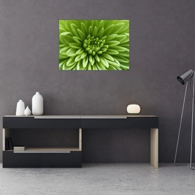 Tablou pe sticlă - Imagine macro a unei plante (70x50 cm)