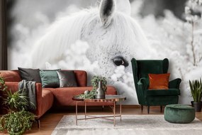 Fototapet - Calul alb pe zăpadă (254x184 cm), în 8 de alte dimensiuni noi
