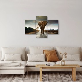 Tablou cu elefant (90x60 cm)