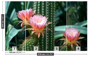 Fototapet Cactus Flower