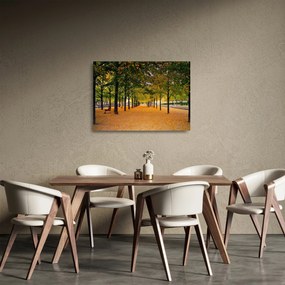 Tablou pe sticlă cu alee cu copaci în toamnă (70x50 cm)