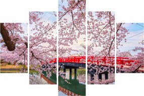 Tablou - Hirosaki, Japonia (150x105 cm)