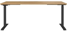 Birou cu înălțime ajustabilă electric 80x180 cm Jet – Germania