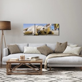 Tablou cu cățeluș dormind (cu ceas) (90x30 cm)