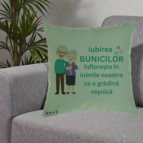 Cadou pentru Bunici - Perna Personalizata Bunicii Iubirea Infloreste Cuplu Senior Teal, 40x40 cm, Verde, Husa Detasabila, Perna Inclusa, BEKZ®