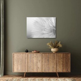 Tablou pe sticlă - Dandelion (70x50 cm)
