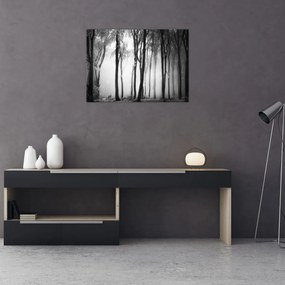 Tablou pe sticlă - Lup în pădurea întunecată (70x50 cm)