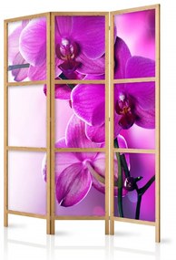 Paravan japonez - Violet Orchids I