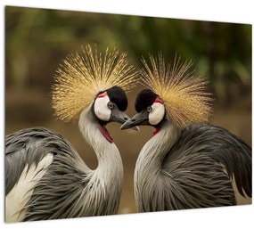 Tablou cu păsări (70x50 cm)