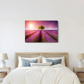 Tablou câmp cu lavandă (90x60 cm)
