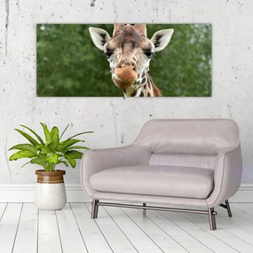 Tablou cu girafa (120x50 cm), în 40 de alte dimensiuni noi
