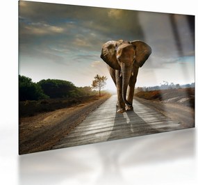 Tablou pe sticlă cu elefant (70x50 cm)