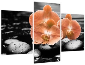 Tablou - Orhidee portocalii (90x60 cm)