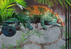 Fototapet - Cameleon (147x102 cm)