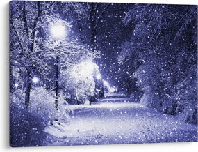 Tablou - Noaptea magică de iarnă (70x50 cm)