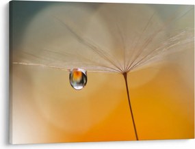 Tablou - Flori macro (70x50 cm)