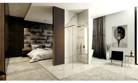 Paravan de dus tip Walk-in Rea Aero 120x195 cm profil auriu