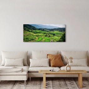 Tablou cu câmp de orez (120x50 cm)