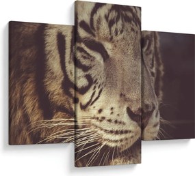 Tablou cu tigrul (90x60 cm)