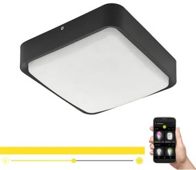 Eglo 97295 - LED plafonieră exterioară dimabilă PIOVE-C LED/14,6W/230V