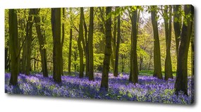 Print pe pânză Primăvară pădure