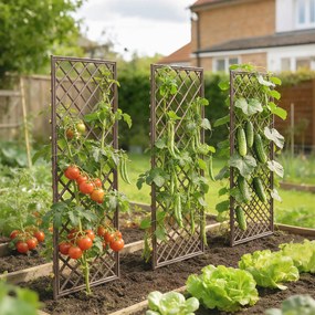 Outsunny arcade pentru trandafiri, pergole robuste pentru nunți, flori cățărătoare | Aosom Romania