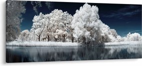 Tablou - Albă ca Zăpada Albă ca Zăpada Copaci (120x50 cm)