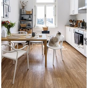 Set 2 scaune dining Bonami Selection Dali Chaur, alb