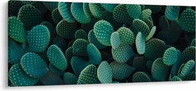Tablou - Opuntia (120x50 cm)