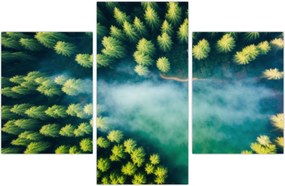 Tablou - O pădure învăluită în ceață (90x60 cm)