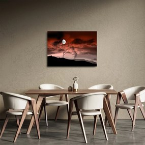 Tablou pe sticlă - Luna luminează noaptea (70x50 cm)