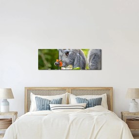 Tablou cu lemur (cu ceas) (90x30 cm)