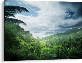 Tablou -Jungla din Seychelles (70x50 cm)